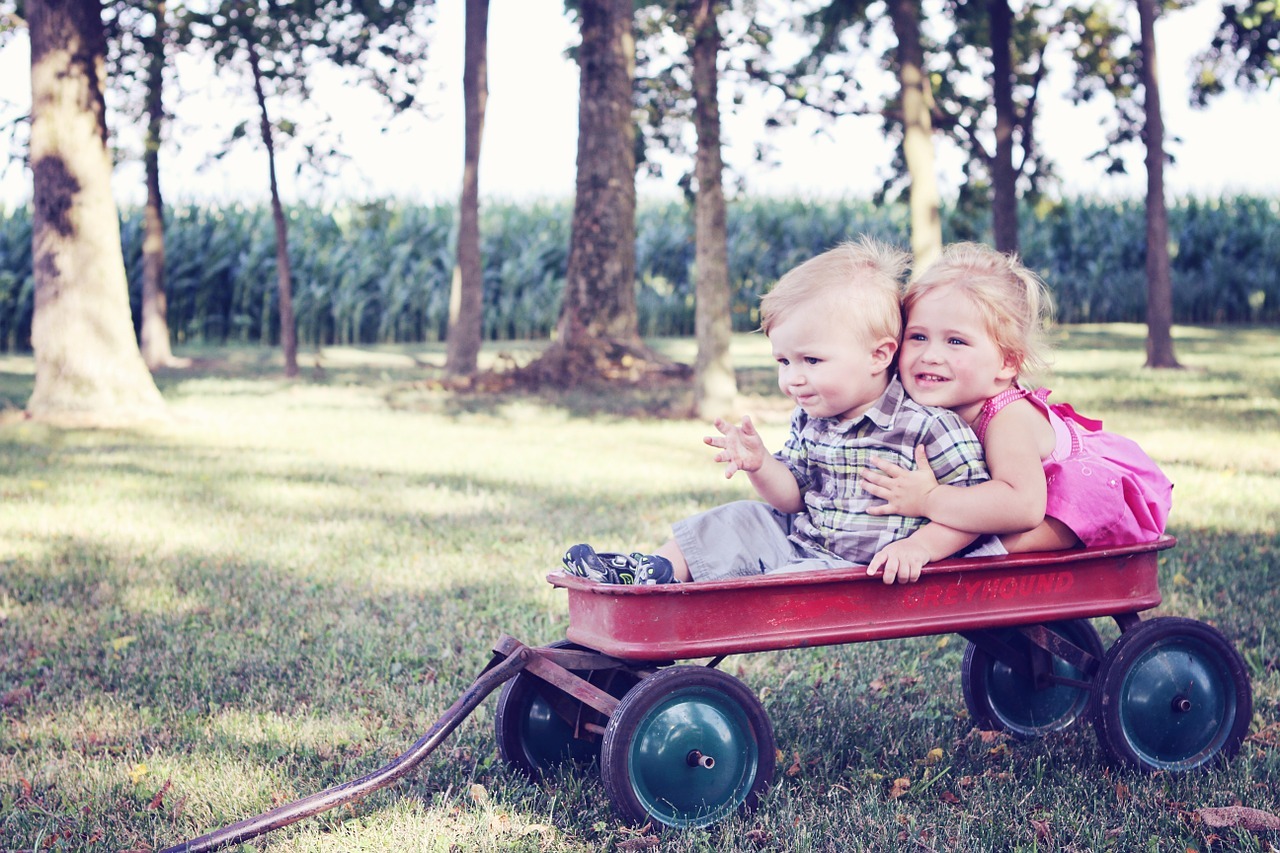 Read more about the article 3 BEST Wagons for Kids in 2021